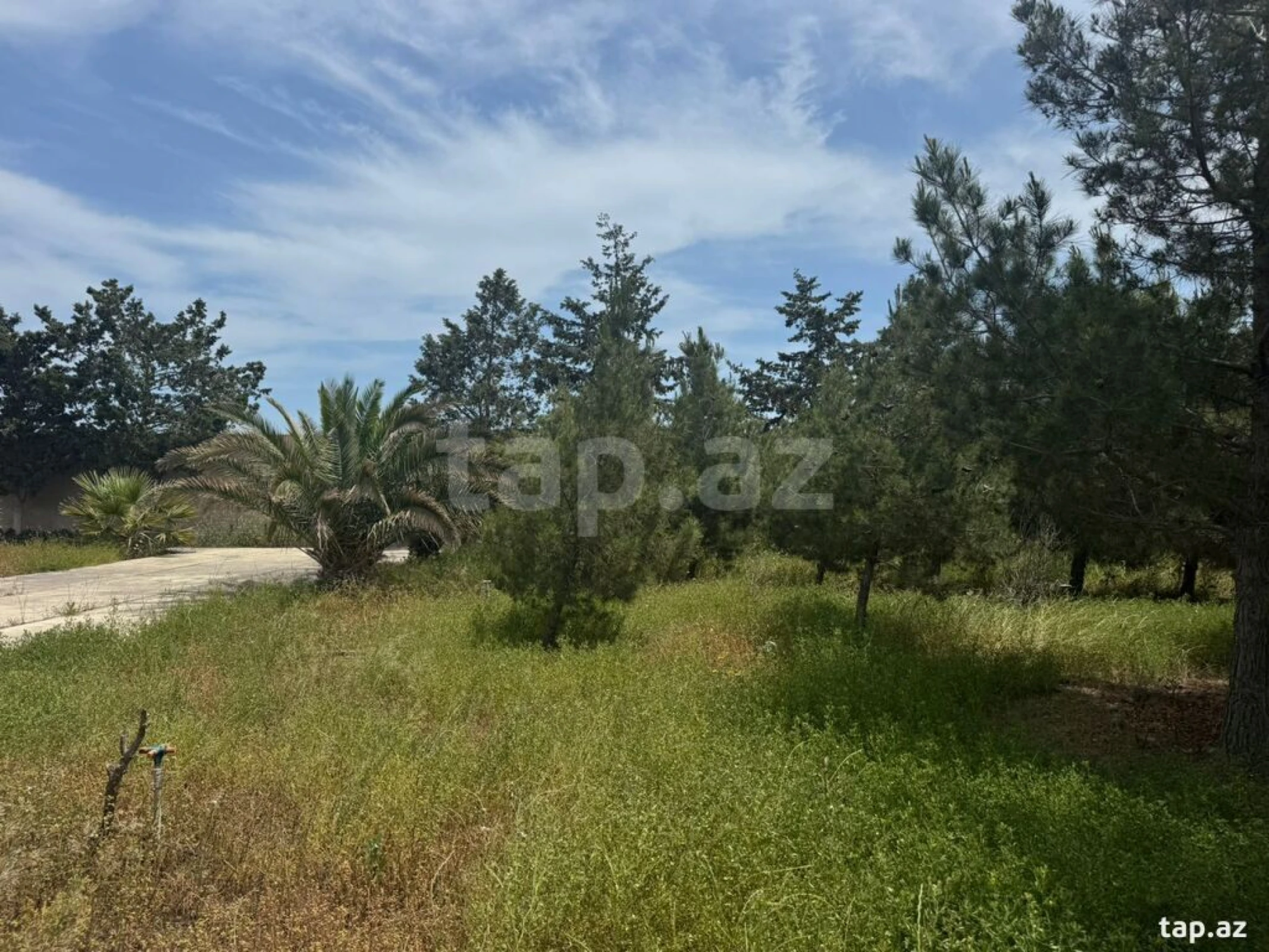 Satılır torpaq sahəsi