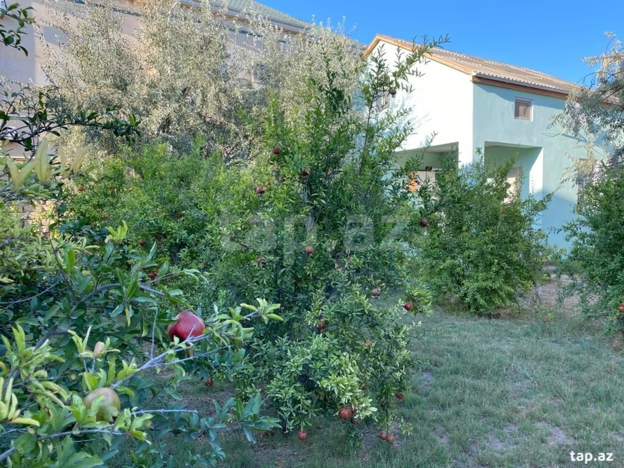 Kirayə verilir 3 otaqlı həyət evi