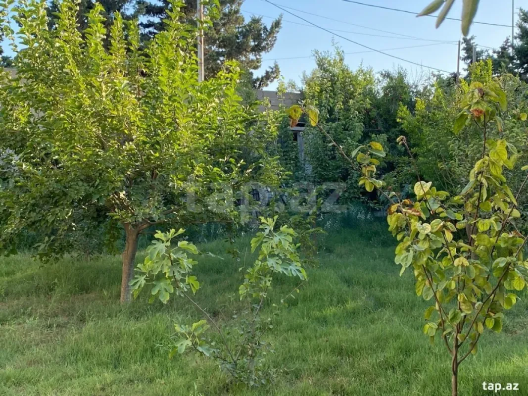 Kirayə verilir 3 otaqlı həyət evi