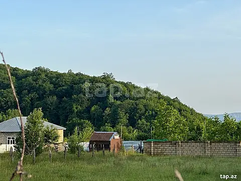 Satılır torpaq sahəsi — Qəbələ