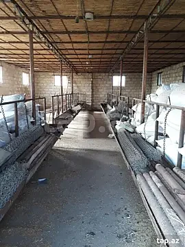 Satılır 1 otaqlı həyət evi 80 m² — Gəncə 1 otaq 80.00 m²