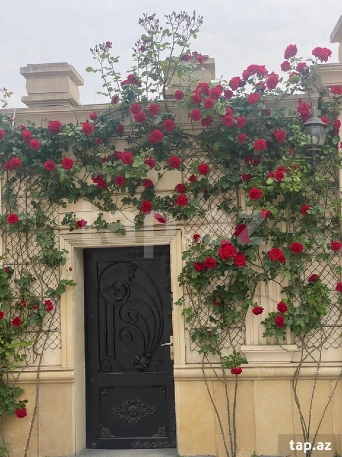 Kirayə verilir 5 otaqlı həyət evi