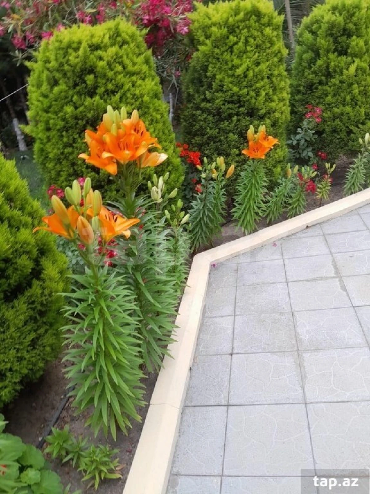 Kirayə verilir 5 otaqlı həyət evi