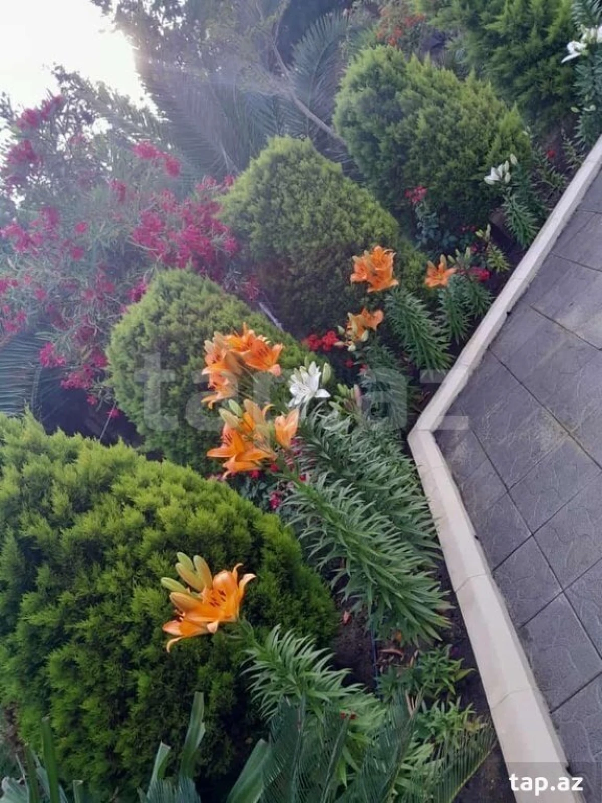 Kirayə verilir 5 otaqlı həyət evi