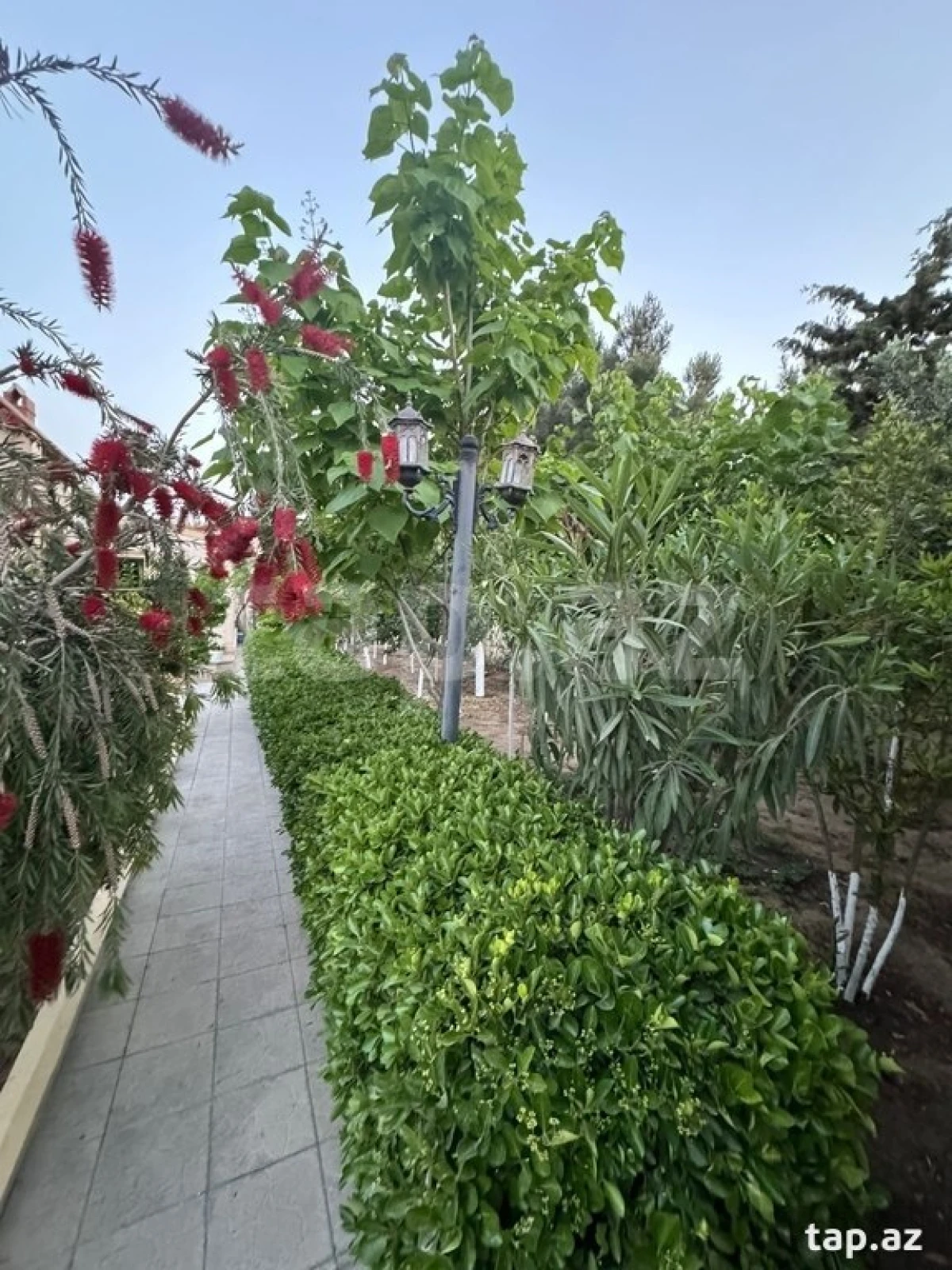 Kirayə verilir 5 otaqlı həyət evi