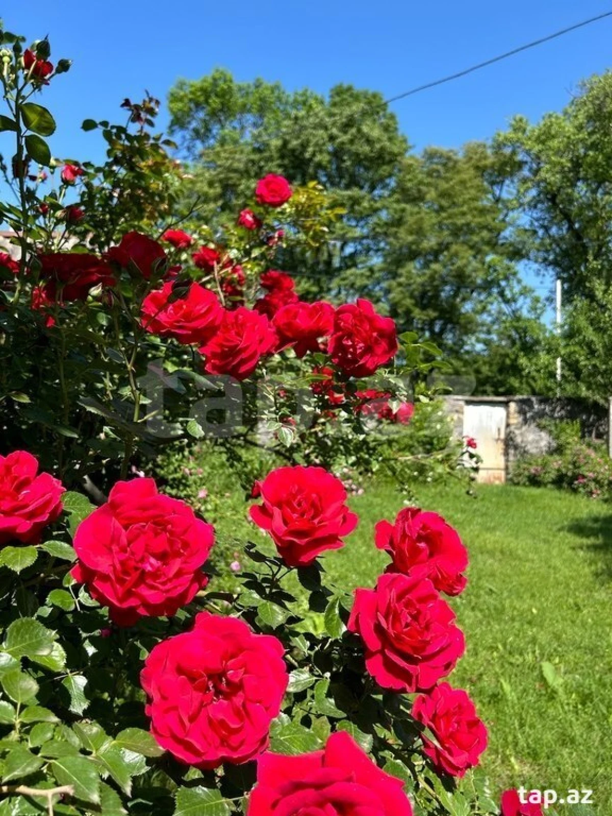 Satılır 4 otaqlı həyət evi