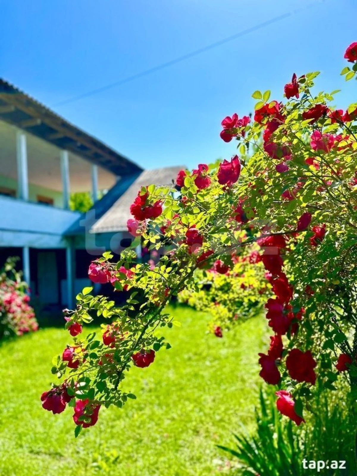 Satılır 4 otaqlı həyət evi