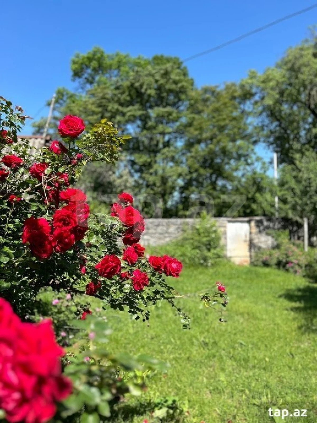 Satılır 4 otaqlı həyət evi