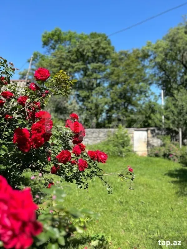 Satılır 4 otaqlı həyət evi