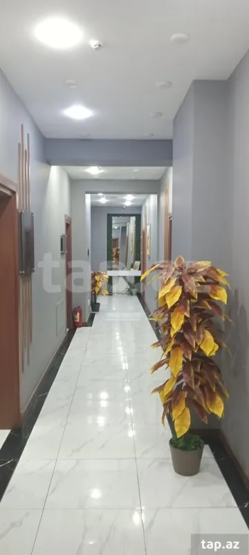 Kirayə verilir ofis