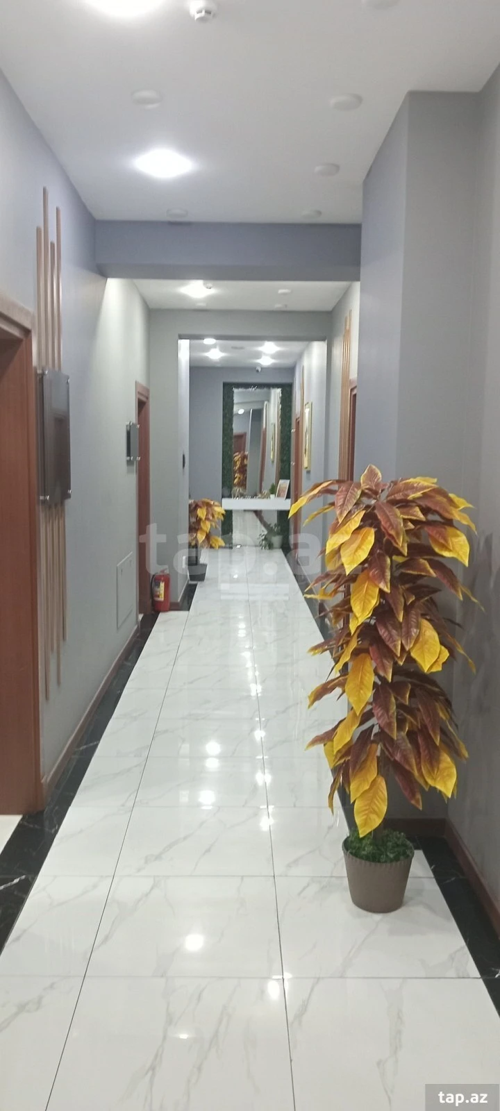 Kirayə verilir ofis