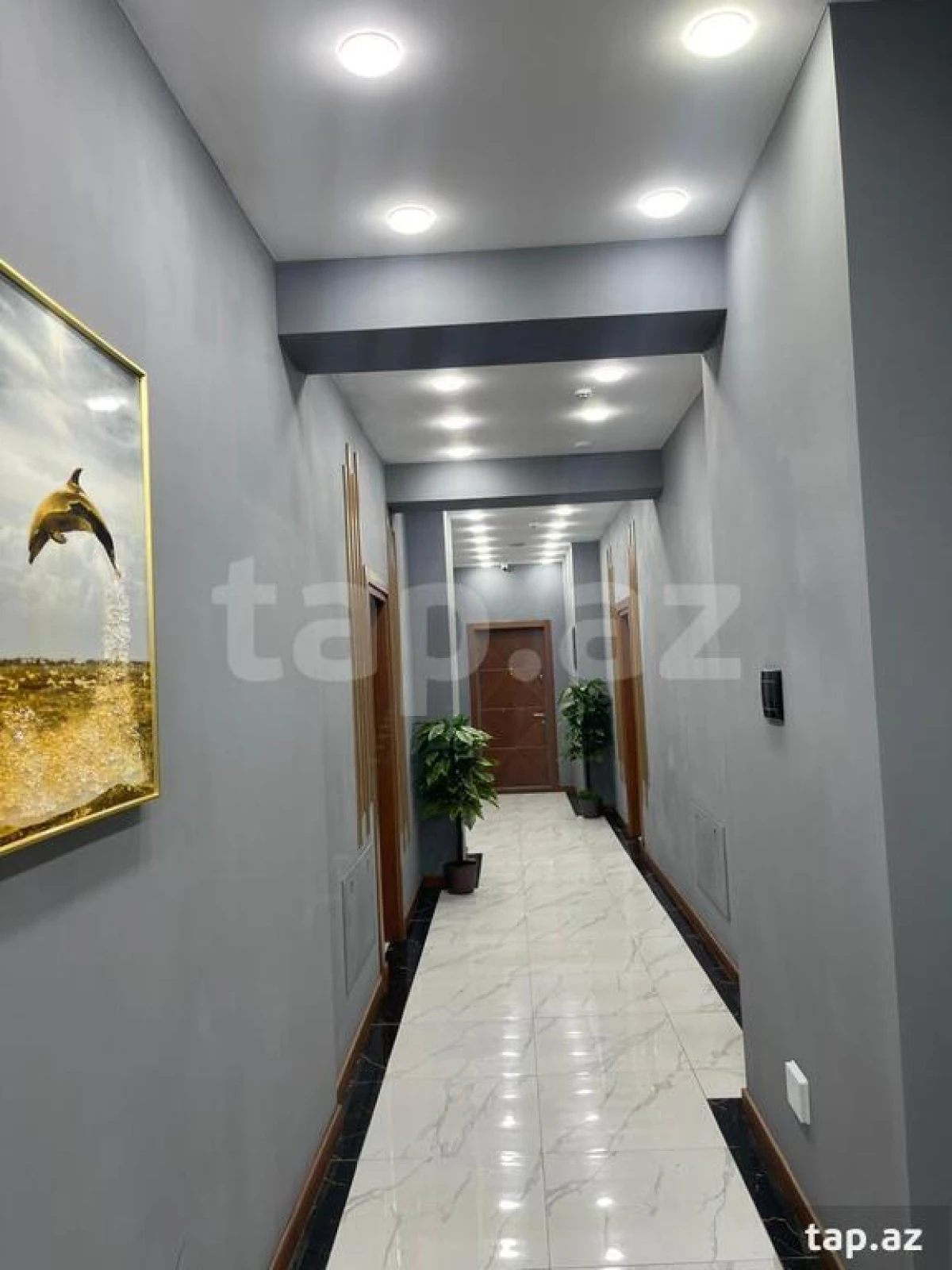 Kirayə verilir ofis