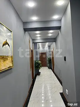 Kirayə verilir ofis