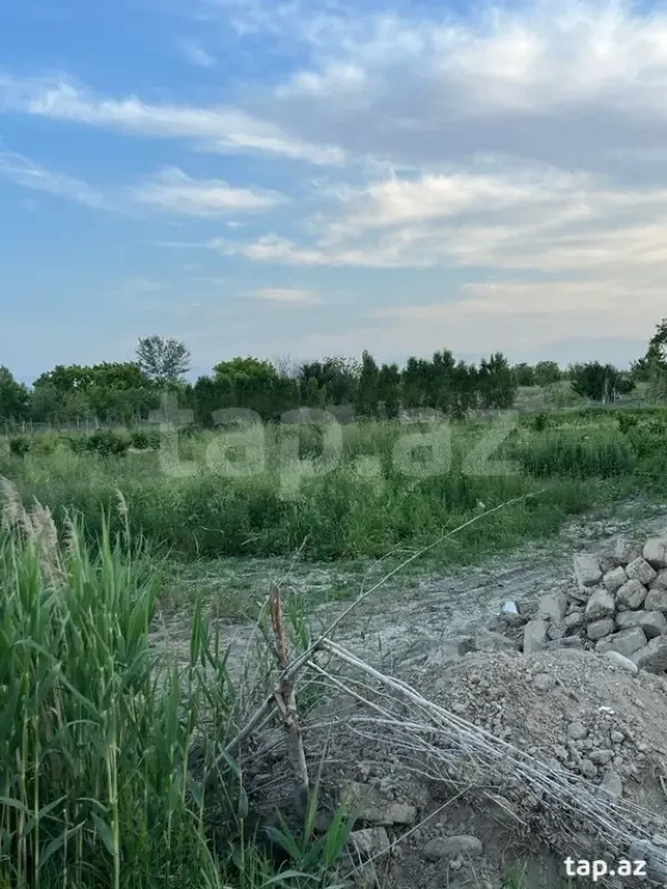 Satılır torpaq sahəsi