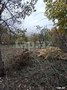 Satılır torpaq sahəsi — İsmayıllı