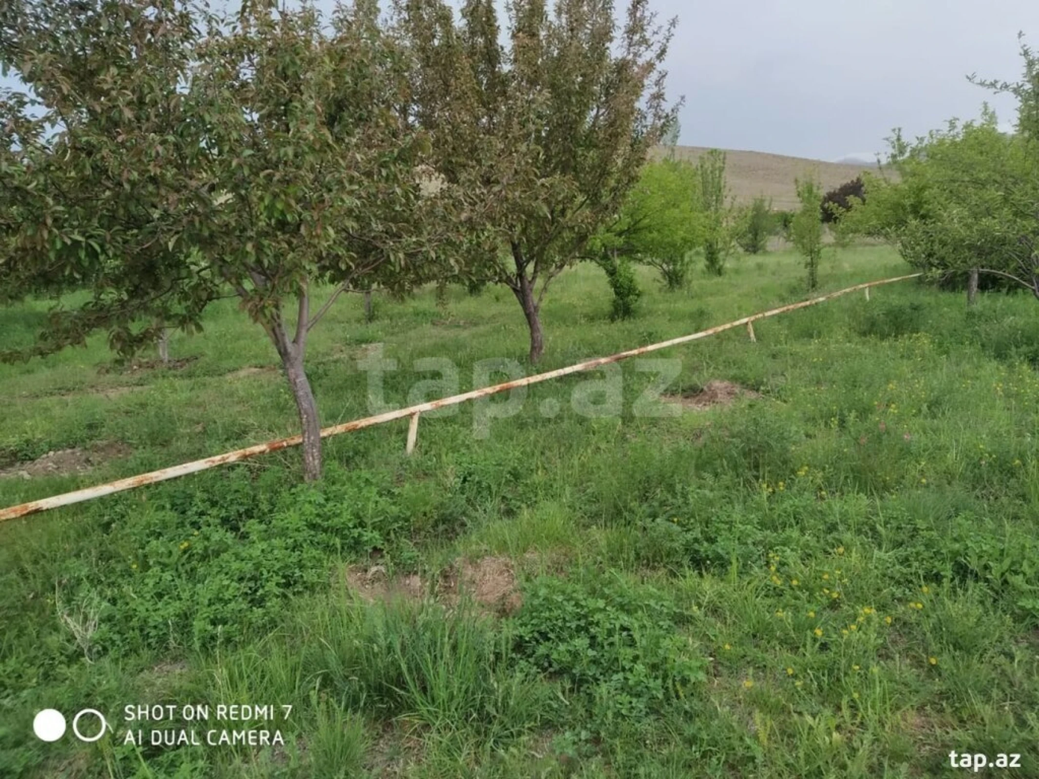 Satılır 3 otaqlı həyət evi