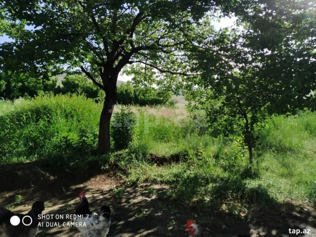 Satılır 3 otaqlı həyət evi