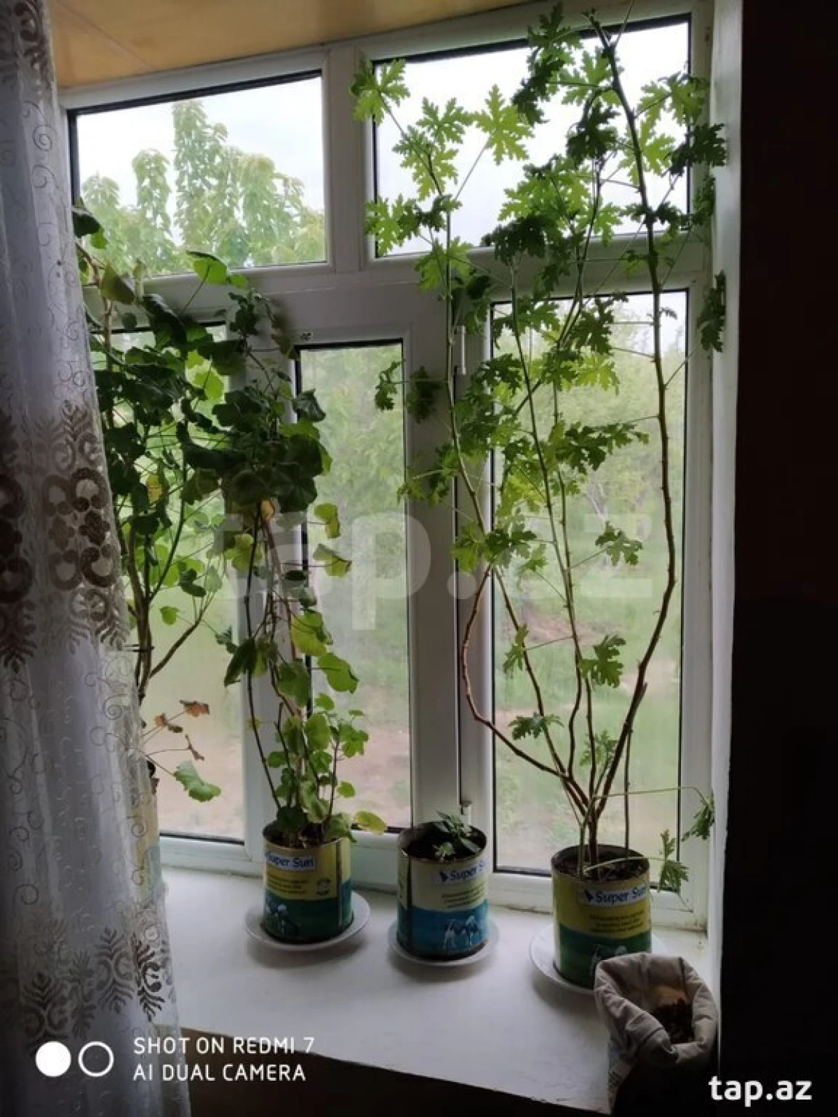 Satılır 3 otaqlı həyət evi