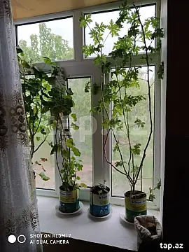 Satılır 3 otaqlı həyət evi