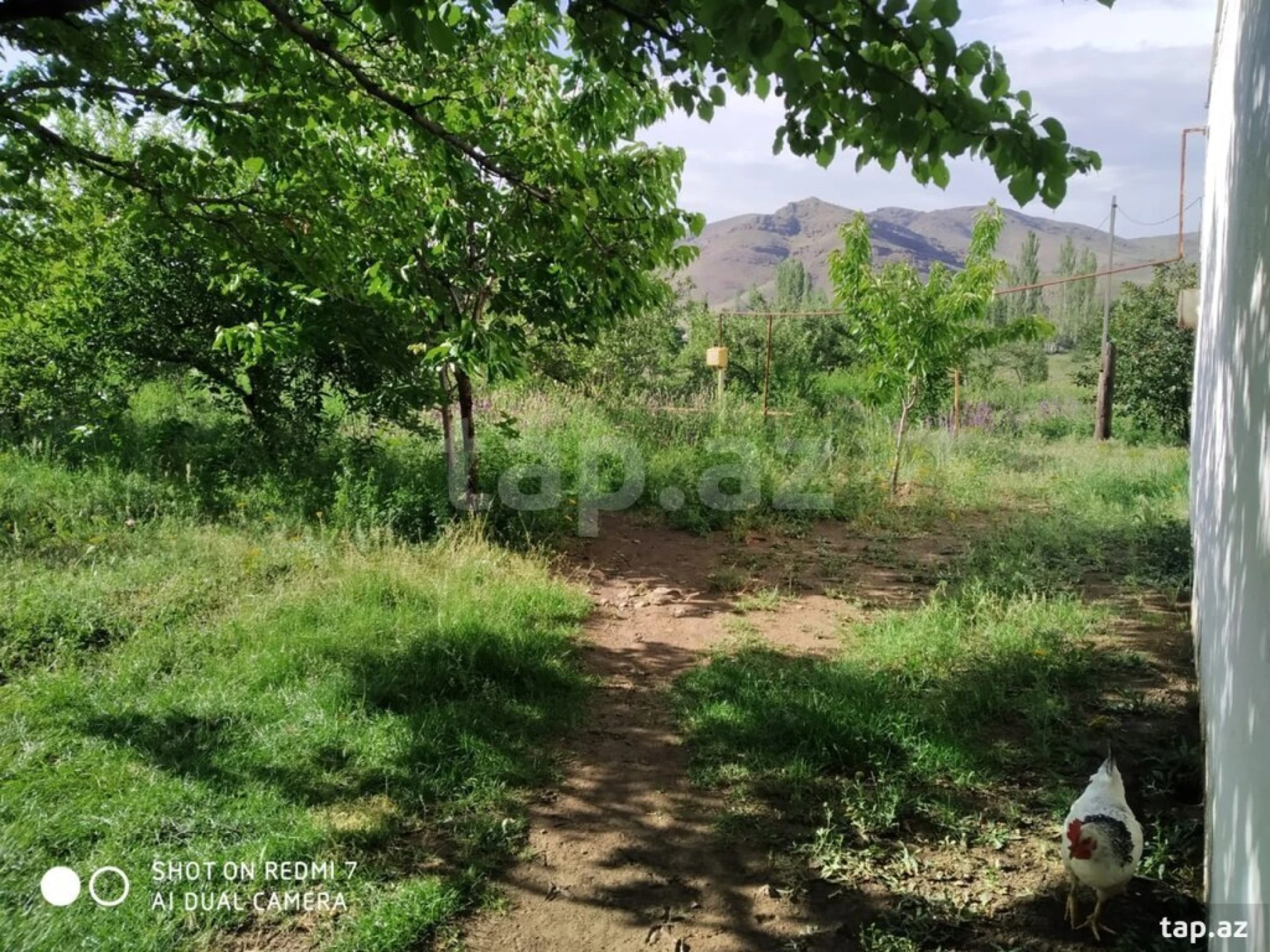 Satılır 3 otaqlı həyət evi