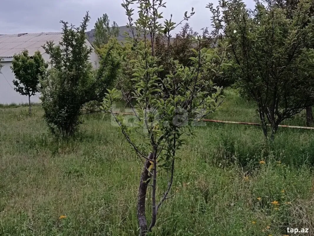 Satılır 3 otaqlı həyət evi