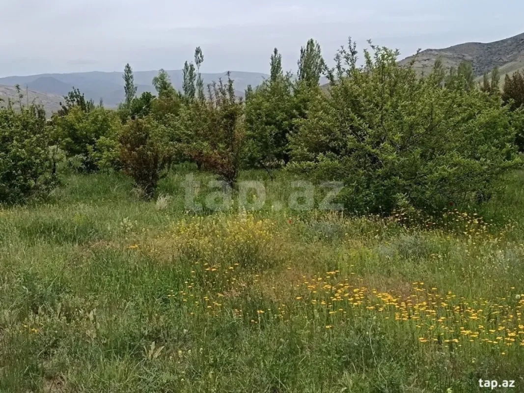 Satılır 3 otaqlı həyət evi