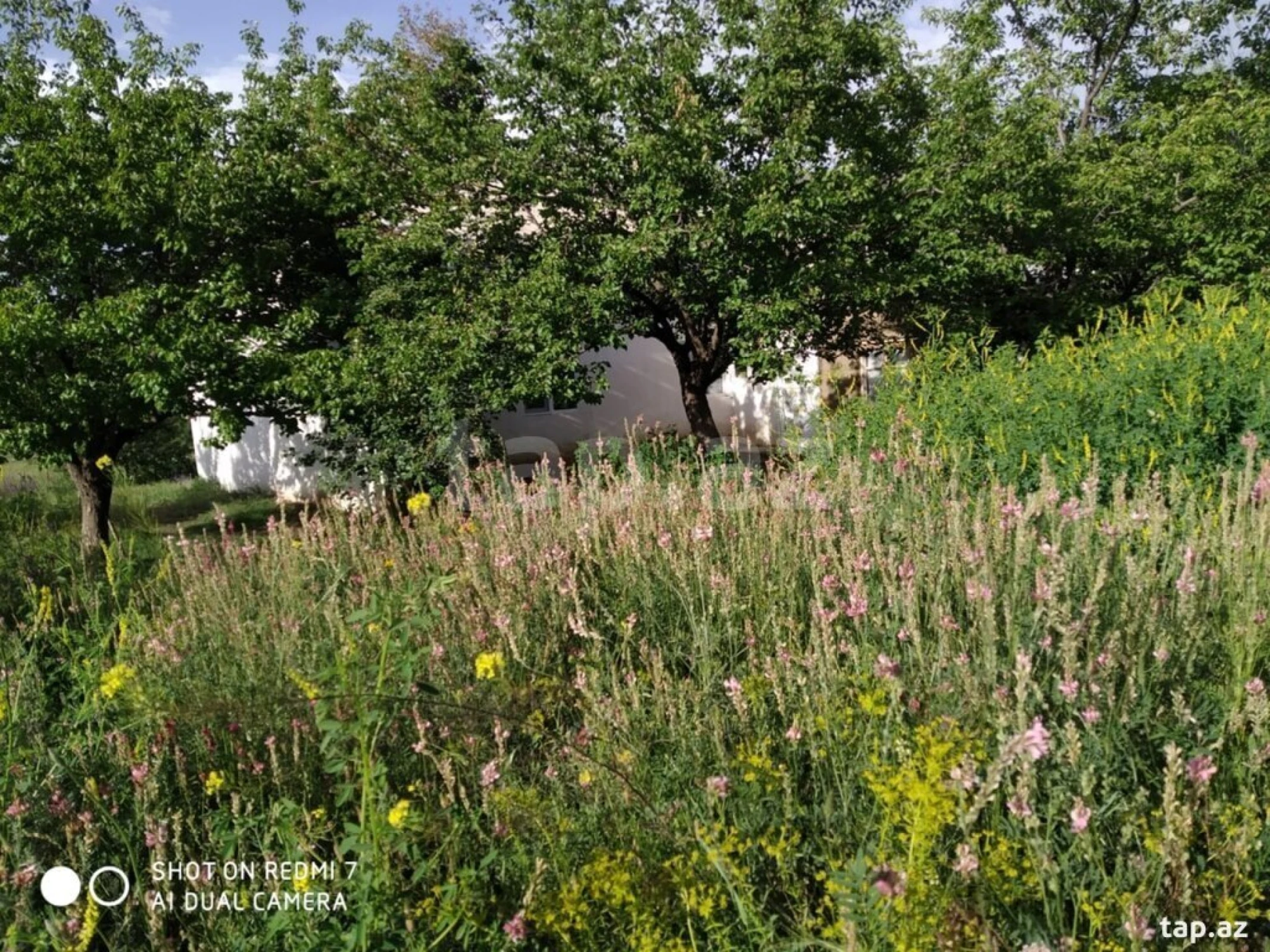 Satılır 3 otaqlı həyət evi