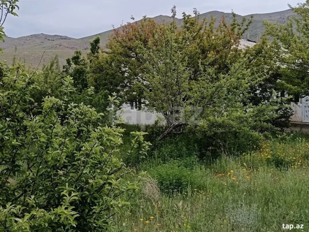 Satılır 3 otaqlı həyət evi