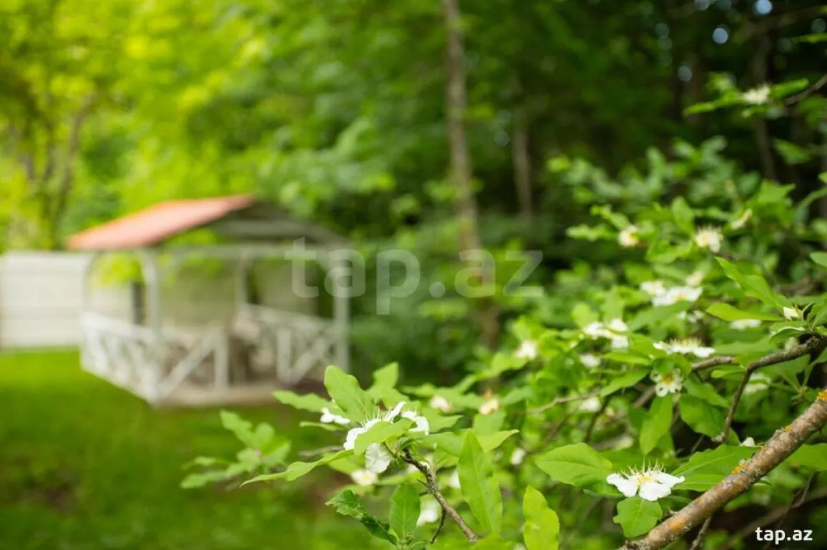 Kirayə verilir 3 otaqlı həyət evi