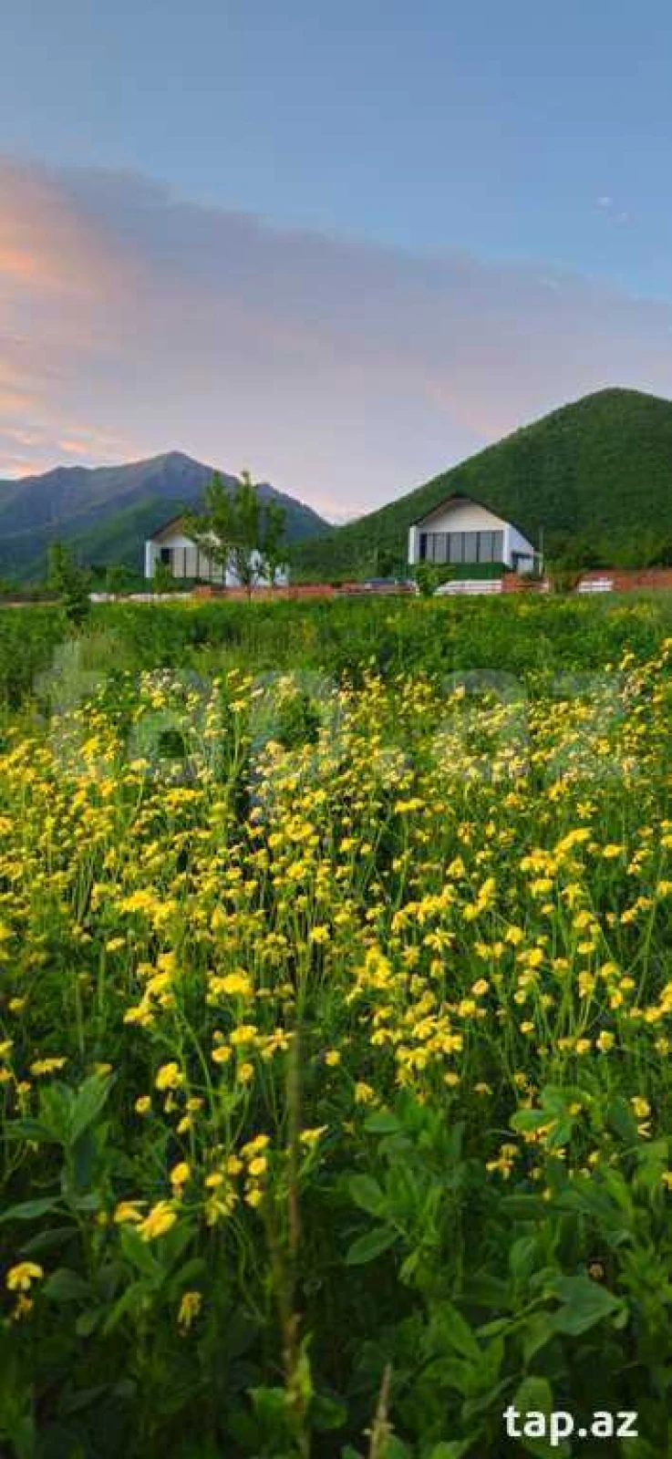 Kirayə verilir 3 otaqlı həyət evi