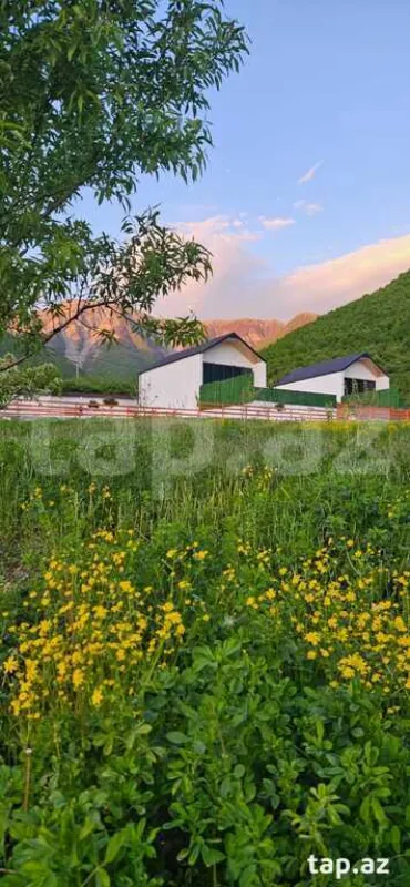 Kirayə verilir 3 otaqlı həyət evi