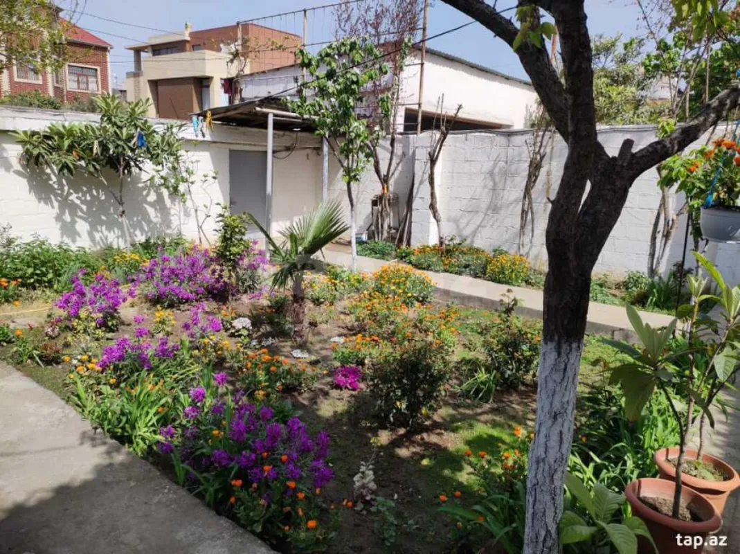 Satılır 3 otaqlı həyət evi