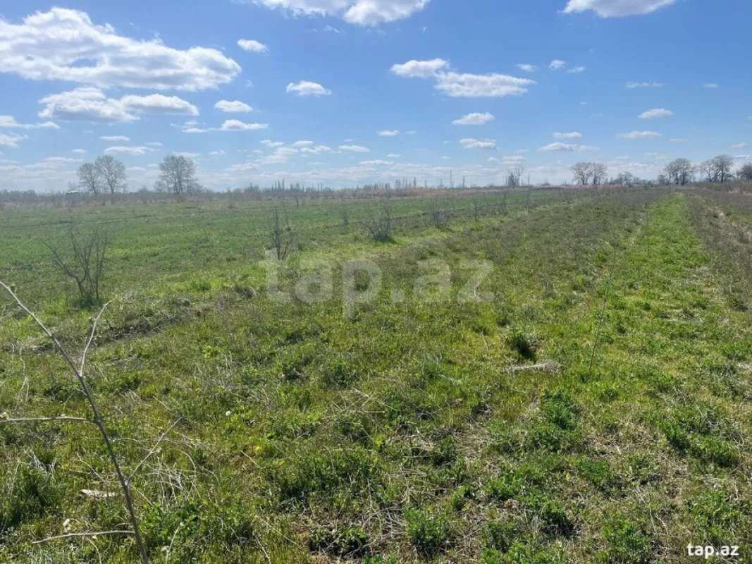 Satılır torpaq sahəsi