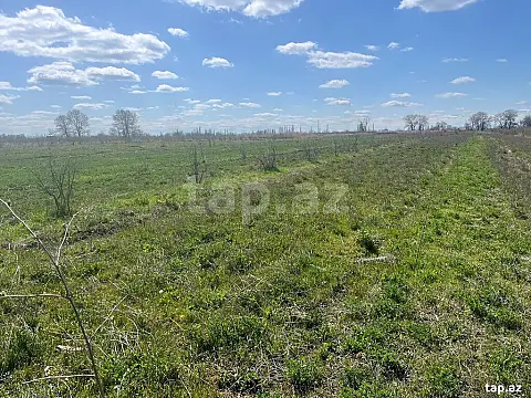 Satılır torpaq sahəsi — Qusar