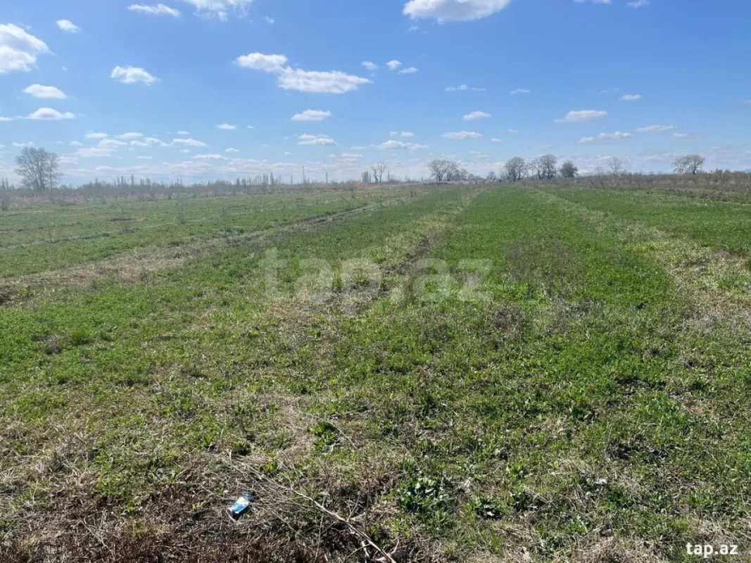 Satılır torpaq sahəsi