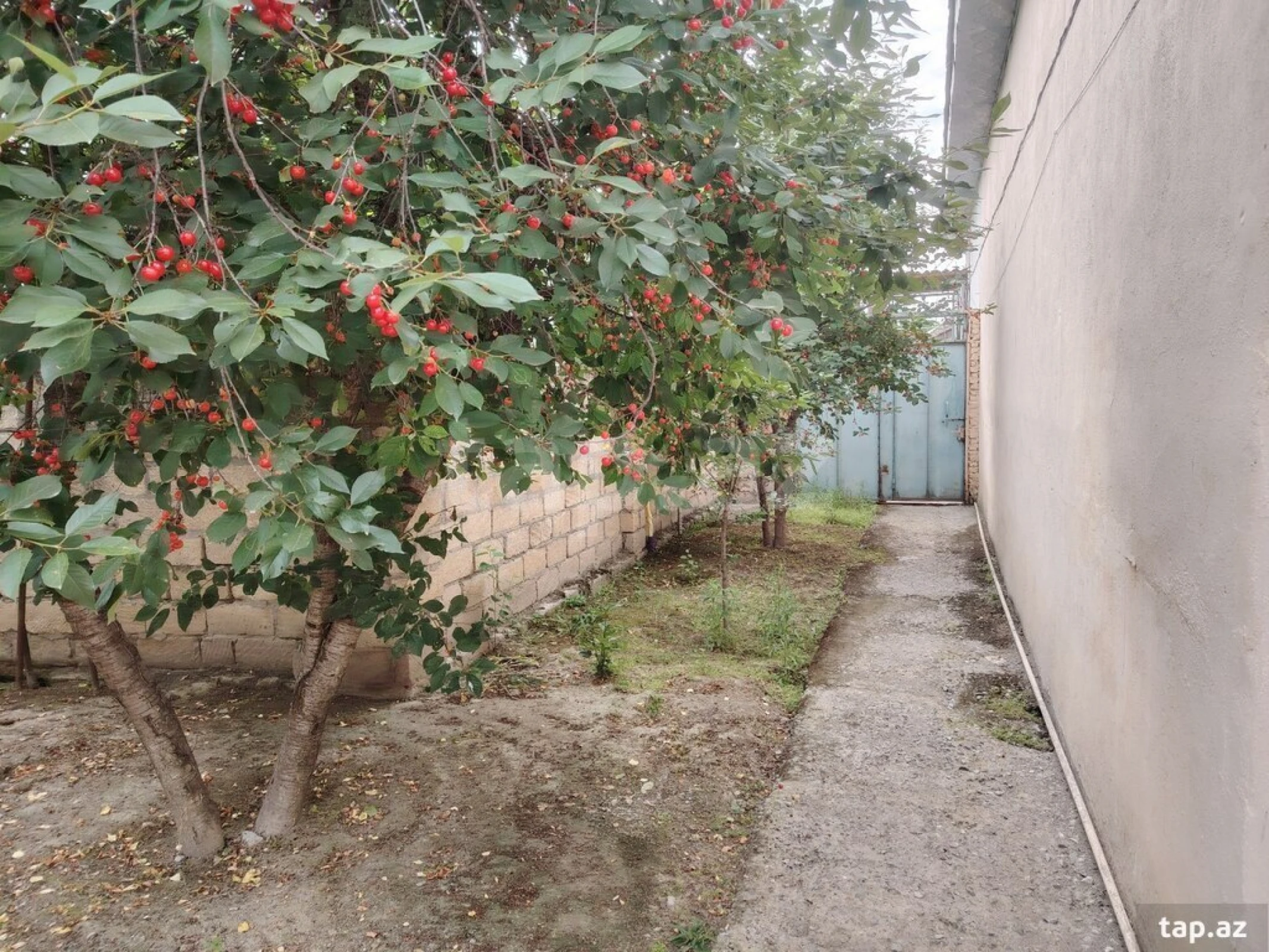 Satılır 4 otaqlı həyət evi