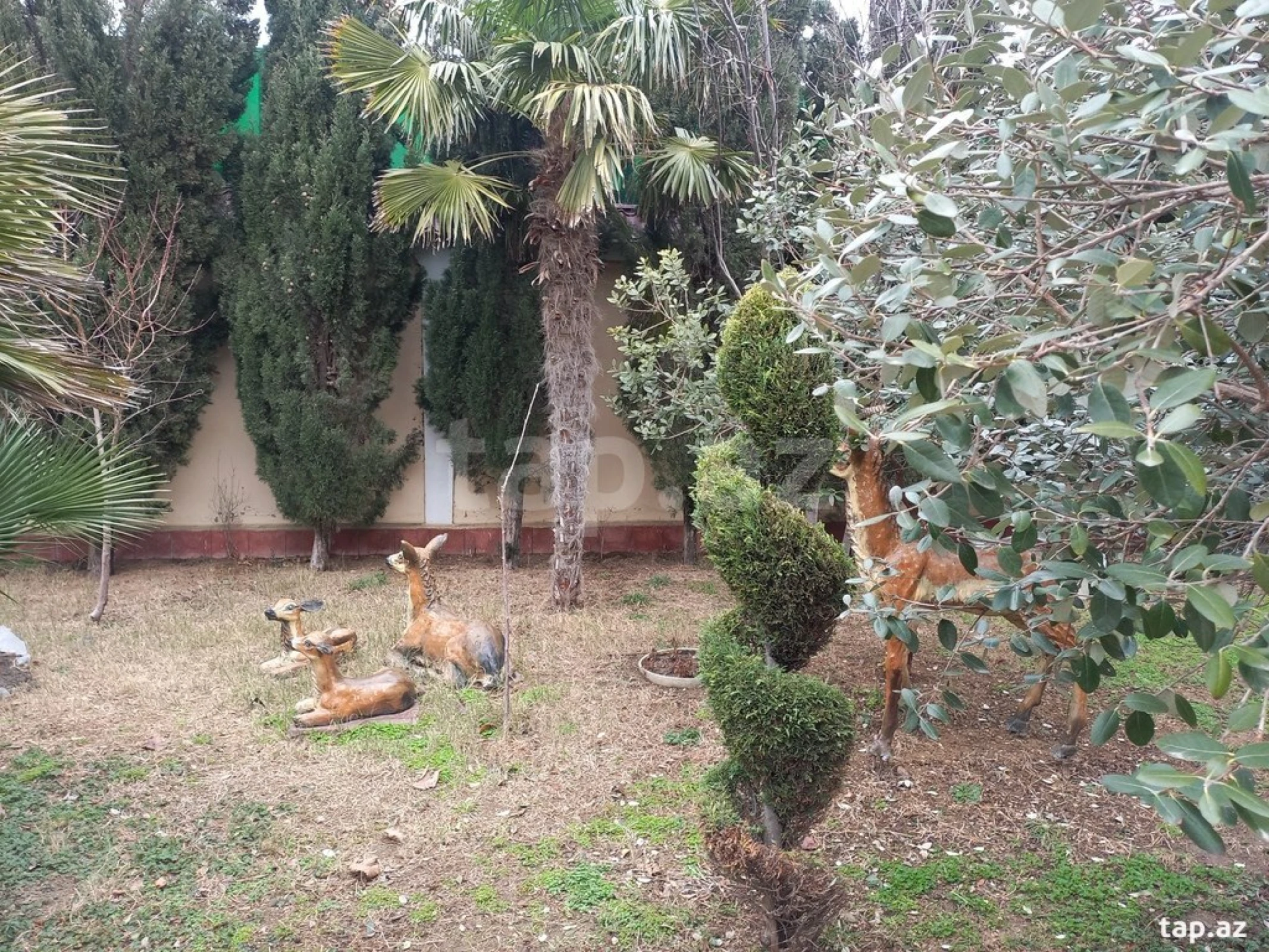 Satılır 6 otaqlı həyət evi
