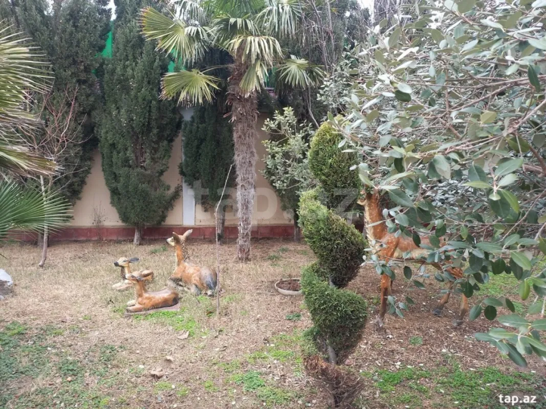 Satılır 6 otaqlı həyət evi