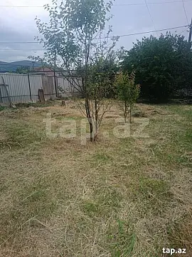 Satılır torpaq sahəsi — Şəki