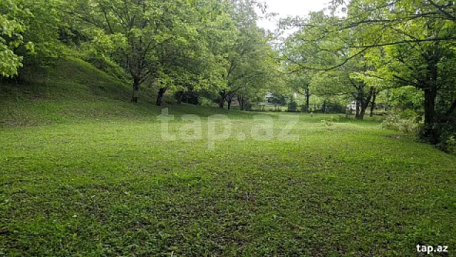 Satılır torpaq sahəsi — İsmayıllı