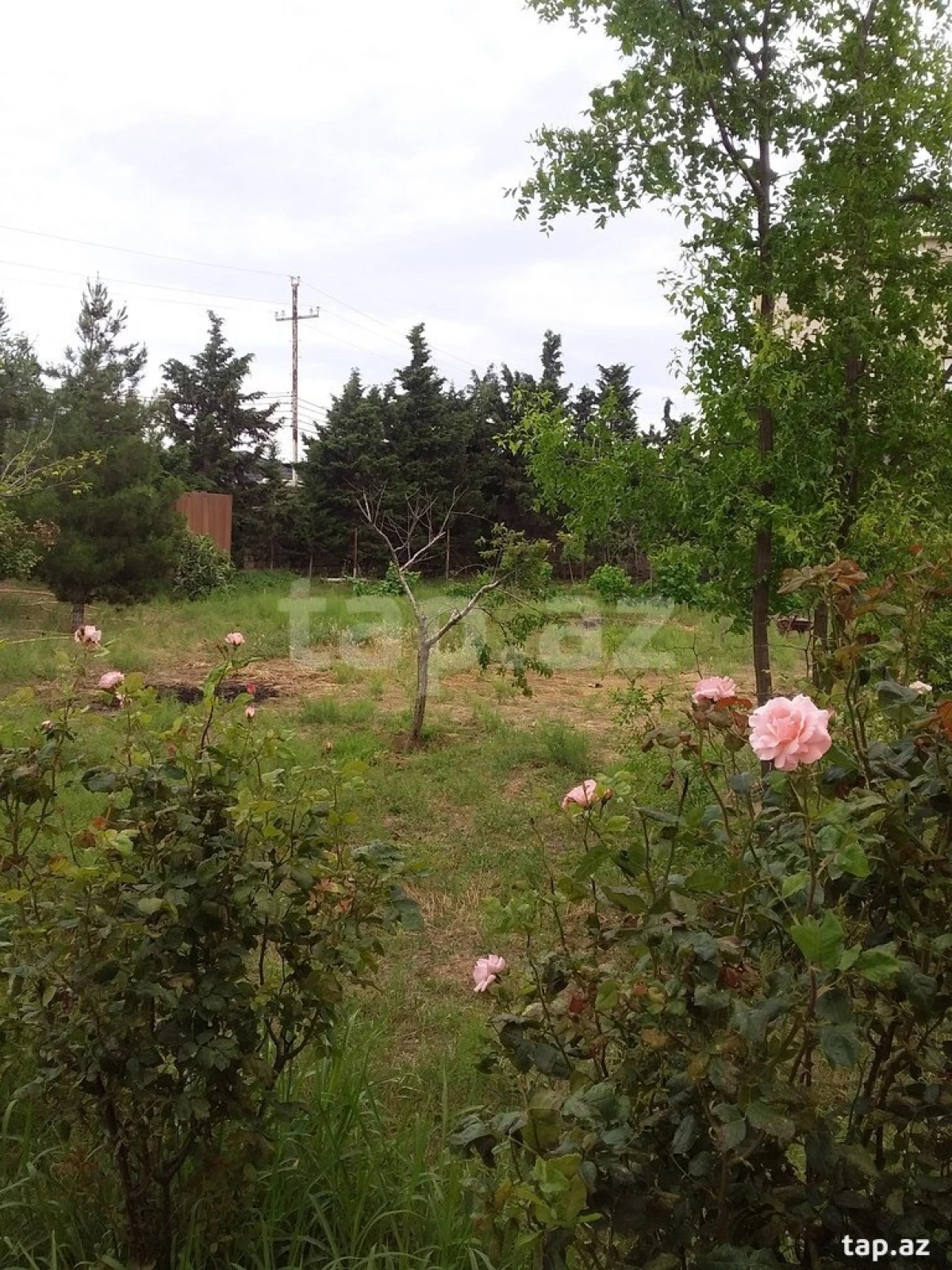 Satılır 5 otaqlı həyət evi