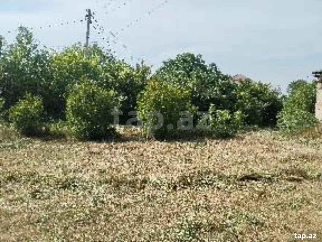 Satılır torpaq sahəsi