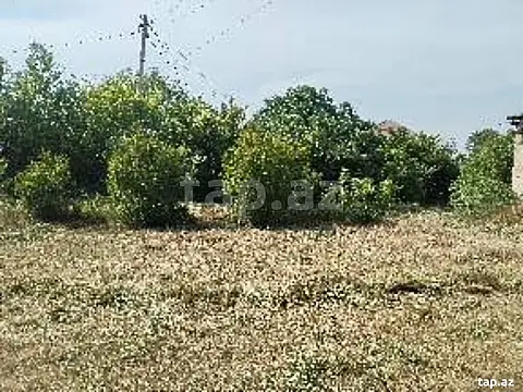 Satılır torpaq sahəsi