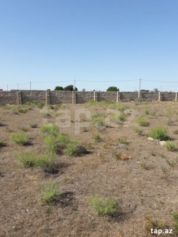 Satılır torpaq sahəsi