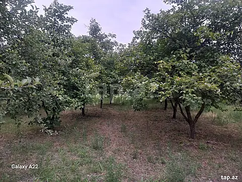 Satılır torpaq sahəsi