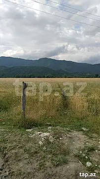 Satılır torpaq sahəsi — İsmayıllı