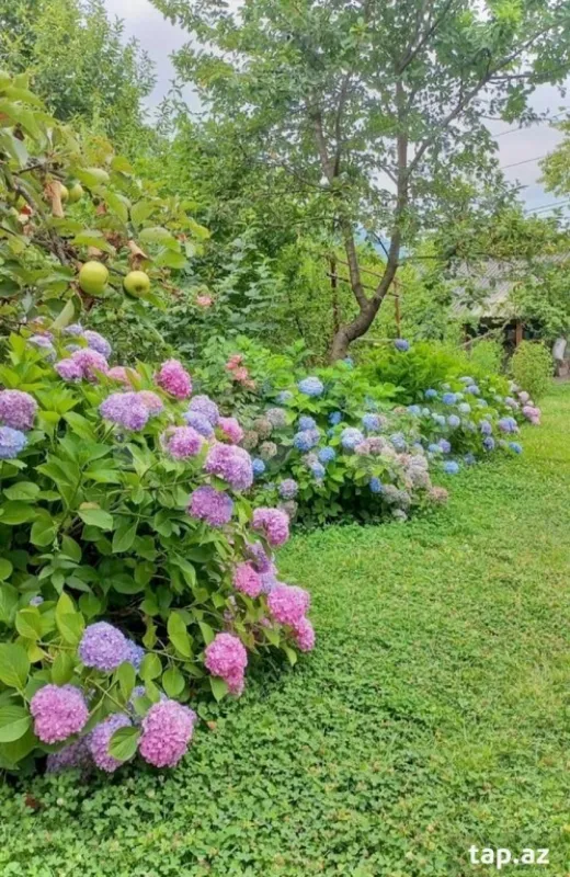 Kirayə verilir 4 otaqlı həyət evi