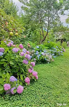 Kirayə verilir 4 otaqlı həyət evi