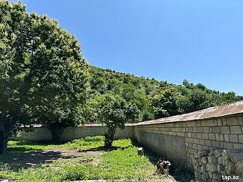Satılır torpaq sahəsi — Qəbələ