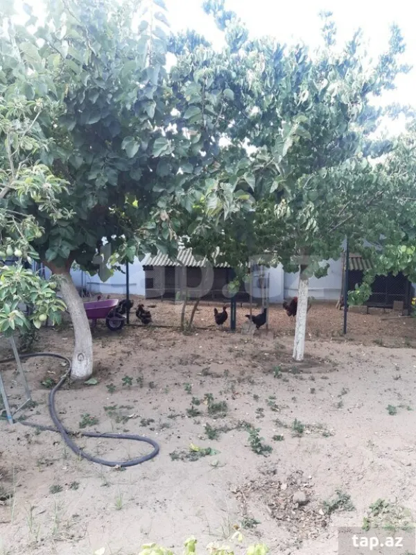 Satılır 6 otaqlı həyət evi 125 m²
